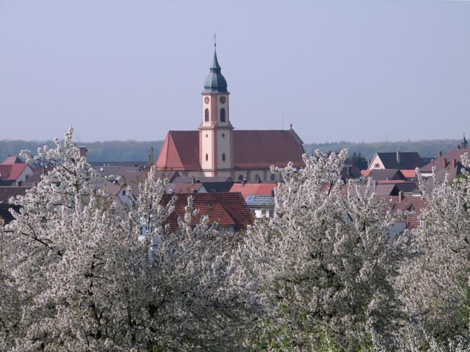 Ringsheim